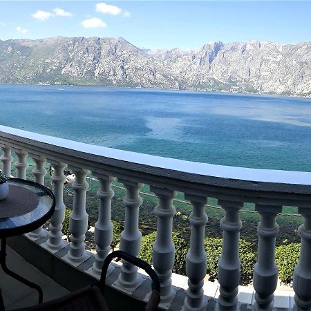 Apartments Popovic كوتور المظهر الخارجي الصورة