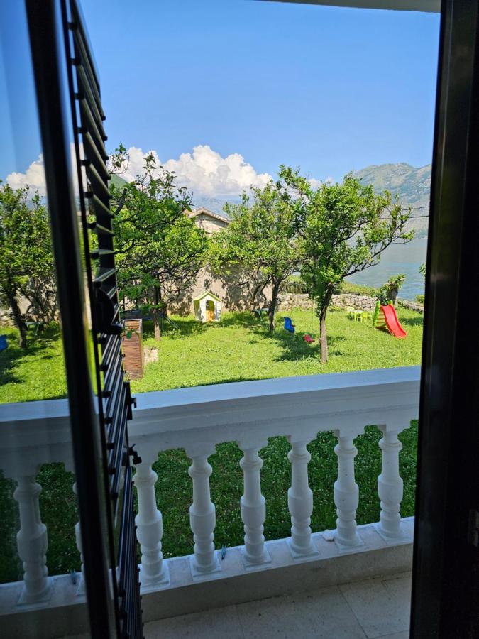 Apartments Popovic كوتور المظهر الخارجي الصورة