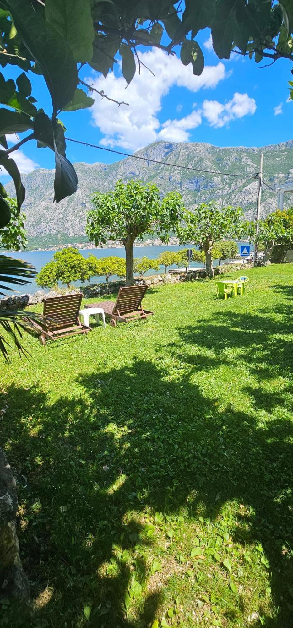 Apartments Popovic كوتور المظهر الخارجي الصورة