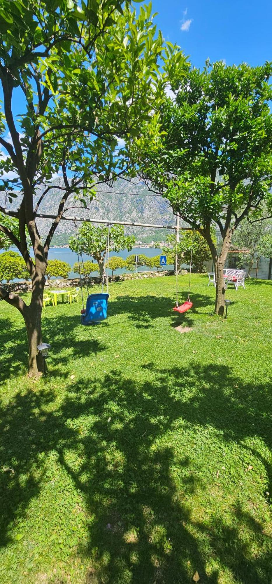Apartments Popovic كوتور المظهر الخارجي الصورة