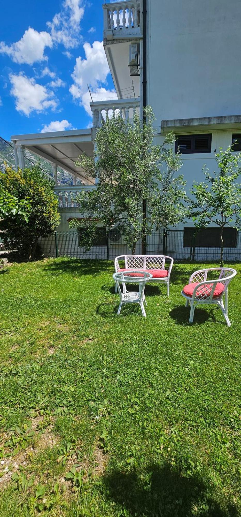 Apartments Popovic كوتور المظهر الخارجي الصورة